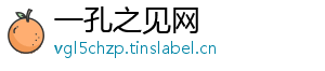 一孔之见网